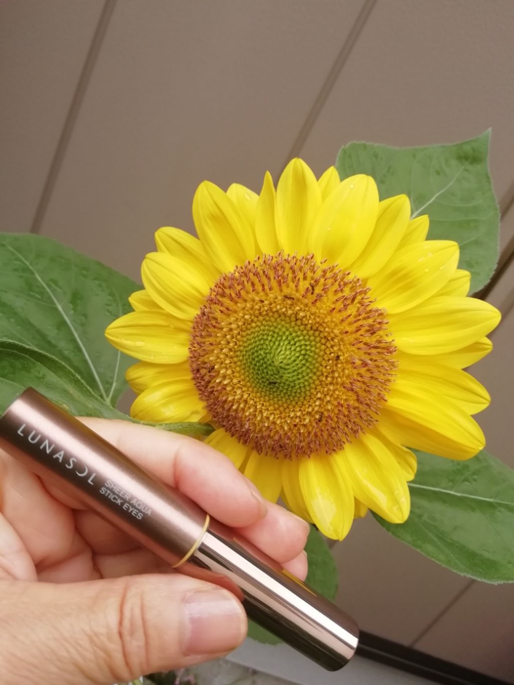 シアーアクアスティックアイズ/LUNASOL/スティックアイシャドウを使ったクチコミ（1枚目）