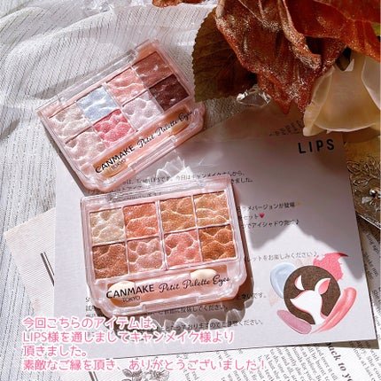 プティパレットアイズ(スパークリングタイプ)/キャンメイク/アイシャドウを使ったクチコミ(10枚目)