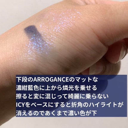 エクスプローラ12色 動物アイシャドウパレット/PERFECT DIARY/アイシャドウパレットを使ったクチコミ(2枚目)