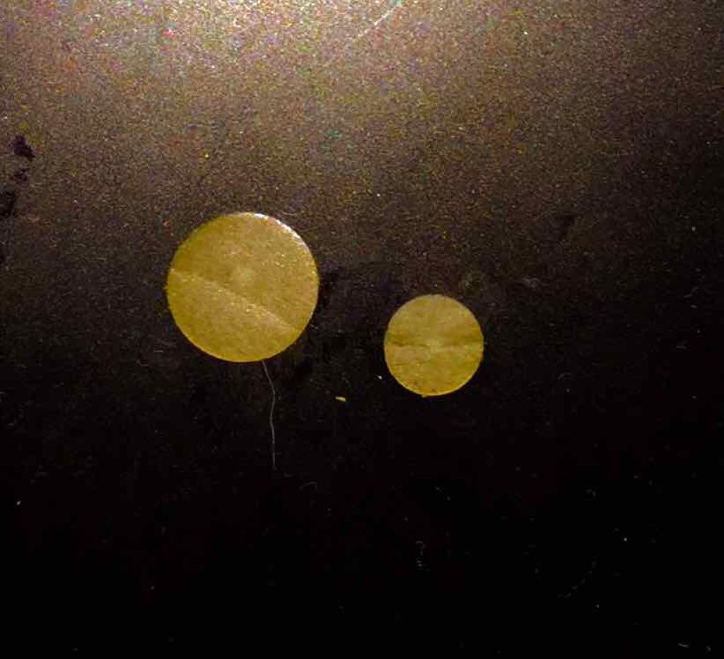 Nexcare/3M nexcare/にきびパッチを使ったクチコミ（2枚目）