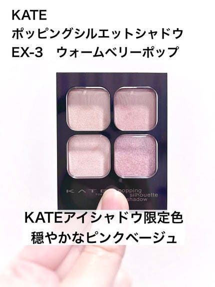 ケイト ポッピングシルエットシャドウ/KATE/アイシャドウパレットを使ったクチコミ(1枚目)