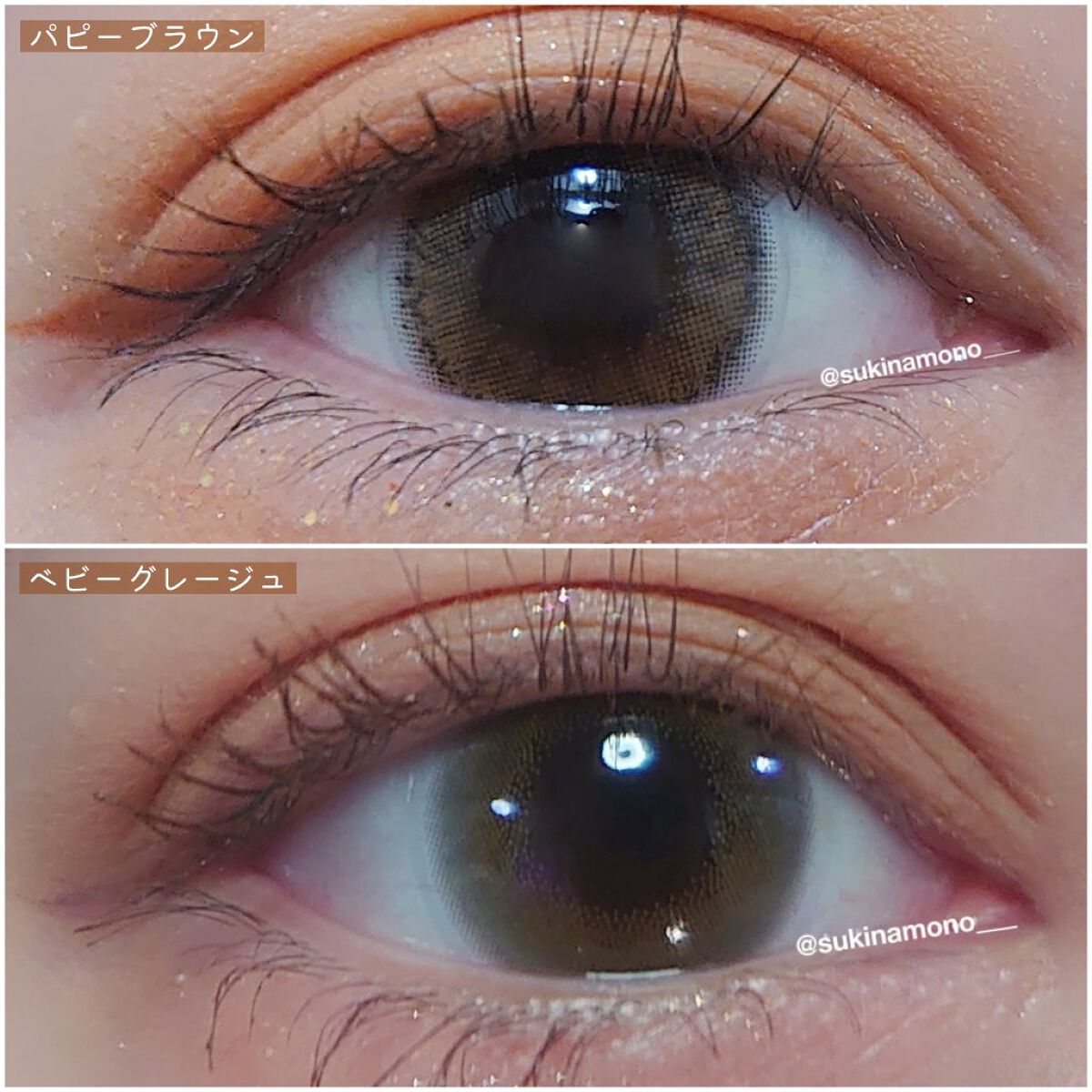 Cheritta 1day パピーブラウン(Puppy Brown)/Cheritta/ワンデー（１DAY）カラコンを使ったクチコミ（2枚目）