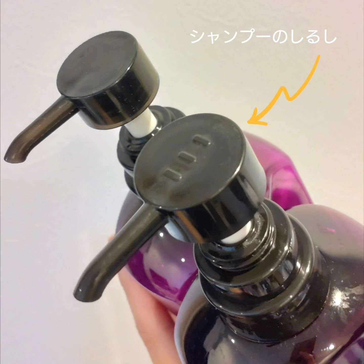 SHI-KOU モイスト シャンプー/トリートメント/紫光/市販シャンプーを使ったクチコミ（3枚目）