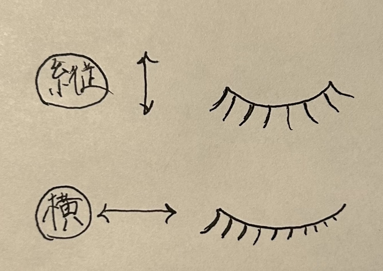 アイラッシュグルー スーパーハード502/D-UP/その他化粧小物を使ったクチコミ（2枚目）