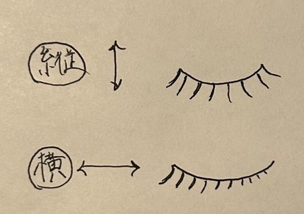 アイラッシュグルー スーパーハード502/D-UP/その他化粧小物を使ったクチコミ(2枚目)