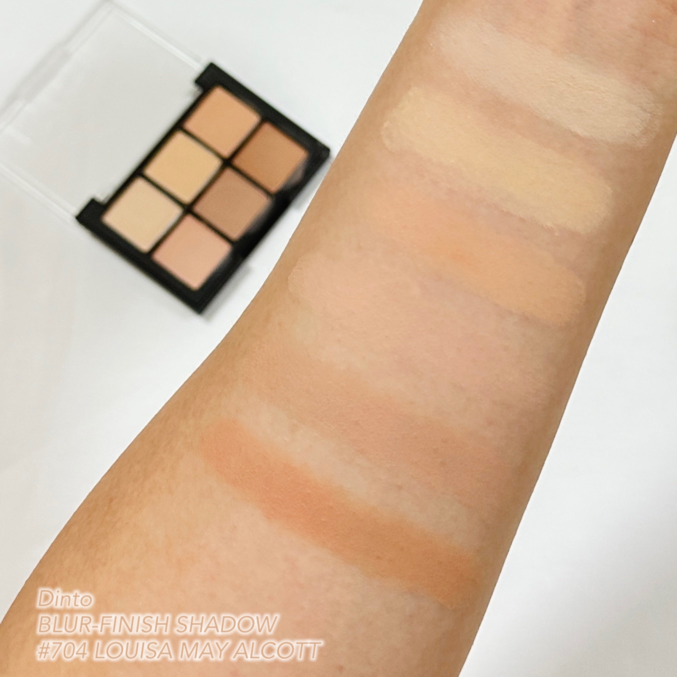 ブラーフィニシュシャドウパレット 704  ルイザ・メイ・オルコット/Dinto/アイシャドウパレットを使ったクチコミ（2枚目）