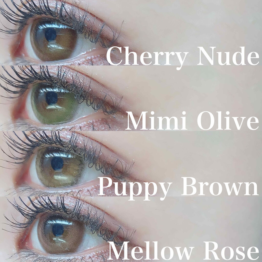 Cheritta 1day パピーブラウン(Puppy Brown)/Cheritta/ワンデー（１DAY）カラコンを使ったクチコミ（3枚目）