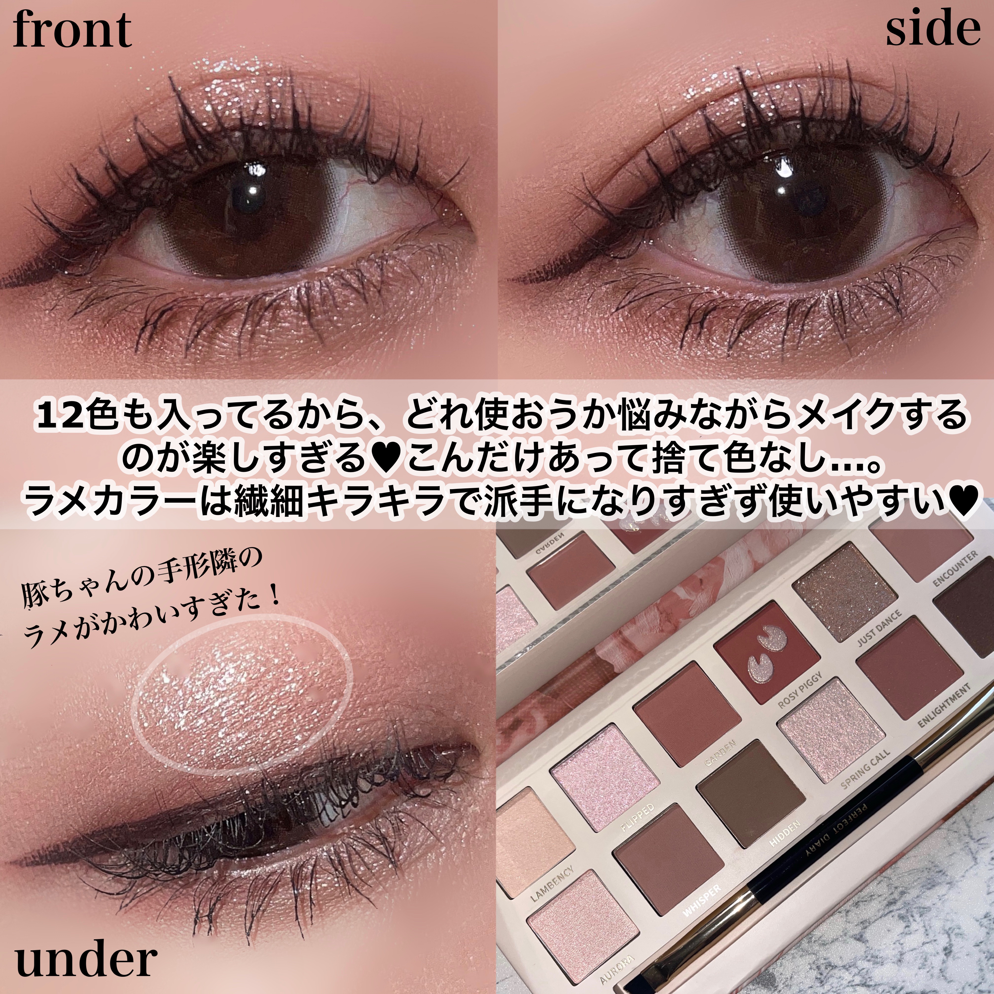 2023年秋新作アイシャドウパレット】エクスプローラ12色 動物