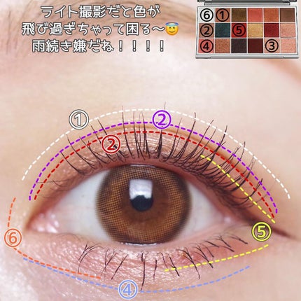 アイシャドウパレット フローラ カラハリ/BYREDO/アイシャドウパレットを使ったクチコミ(5枚目)