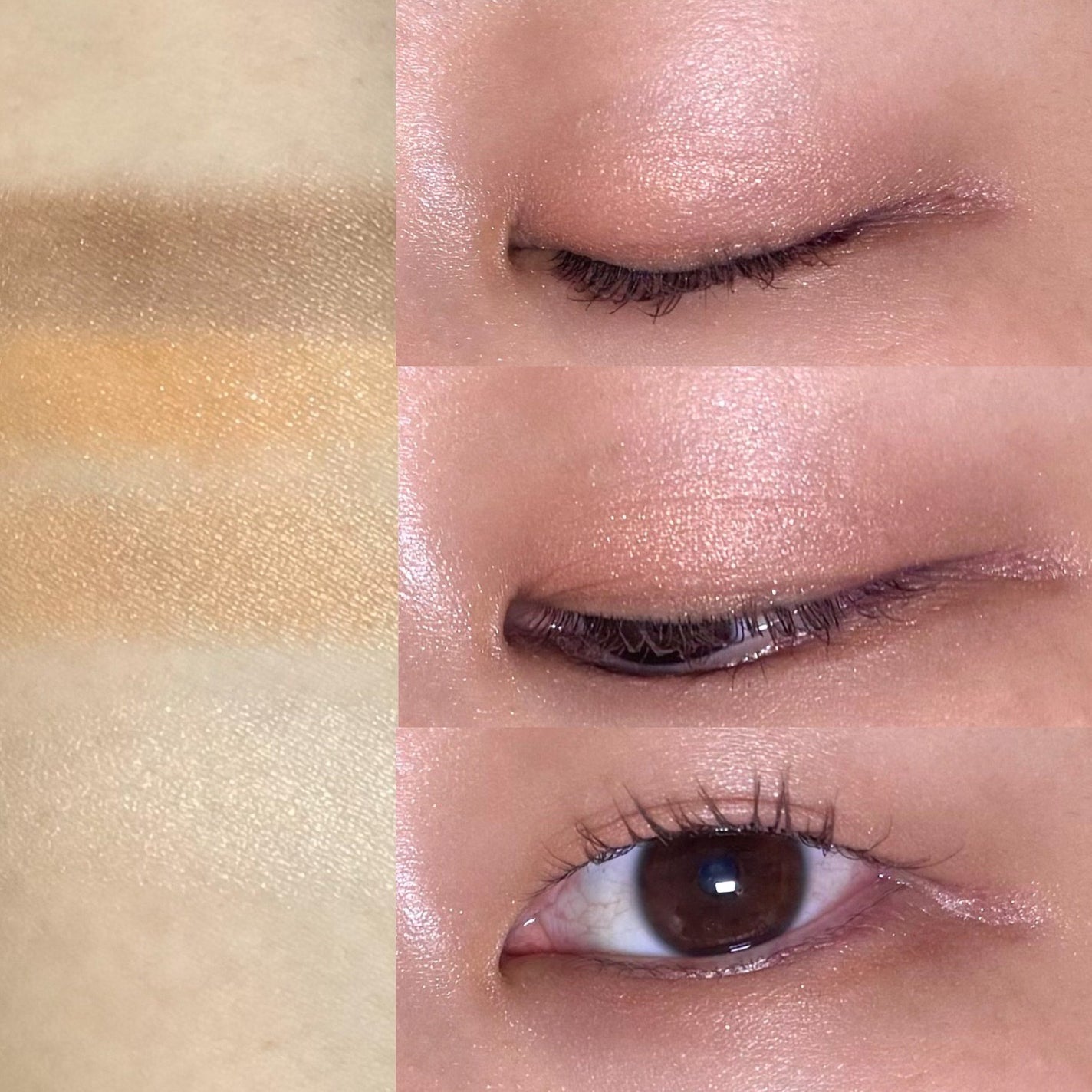 デザイニングブラウンアイズ/KATE/アイシャドウパレットを使ったクチコミ(2枚目)