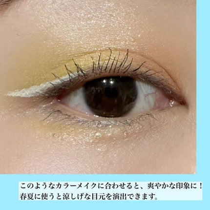 EYE OPENING LINER/UZU BY FLOWFUSHI/アイライナーを使ったクチコミ(3枚目)