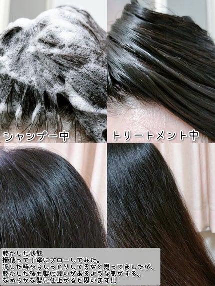 リッチモイスト ディープクレンジング ミネラル シャンプー/ディープリペア ミネラル トリートメント/CLEND/市販シャンプーを使ったクチコミ(6枚目)