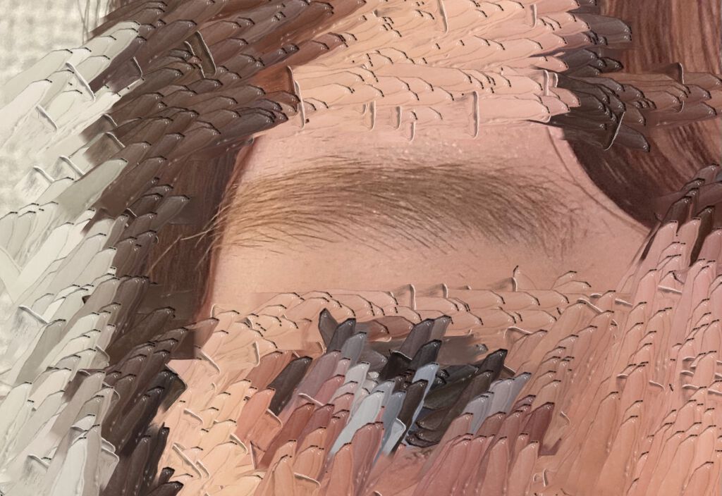 ãã£ã«ã çã«ã©ãŒ/ããžã£ãŽã¥/çãã¹ã«ã©ã䜿ã£ãã¯ãã³ãïŒ3æç®ïŒ