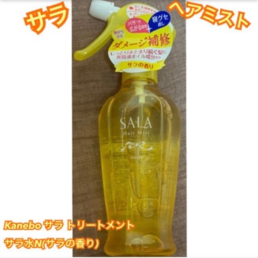 トリートメント サラ水N(サラの香り)/SALA/ヘアスプレー・ヘアミストを使ったクチコミ（1枚目）