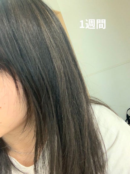 ゆんち on LIPS 「✨✨退色検証しました✨✨✳︎髪色✳︎暗髪✖️ハイライトブルーア..」(4枚目)