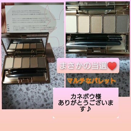 スタイリングアイゾーンコンパクト/LUNASOL/アイシャドウパレットを使ったクチコミ(1枚目)