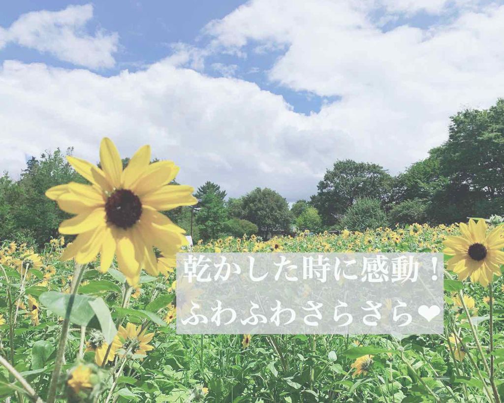 BCオイル イノセンス オイル シャンプー/トリートメント/シュワルツコフ プロフェッショナル/サロンシャンプーを使ったクチコミ(1枚目)