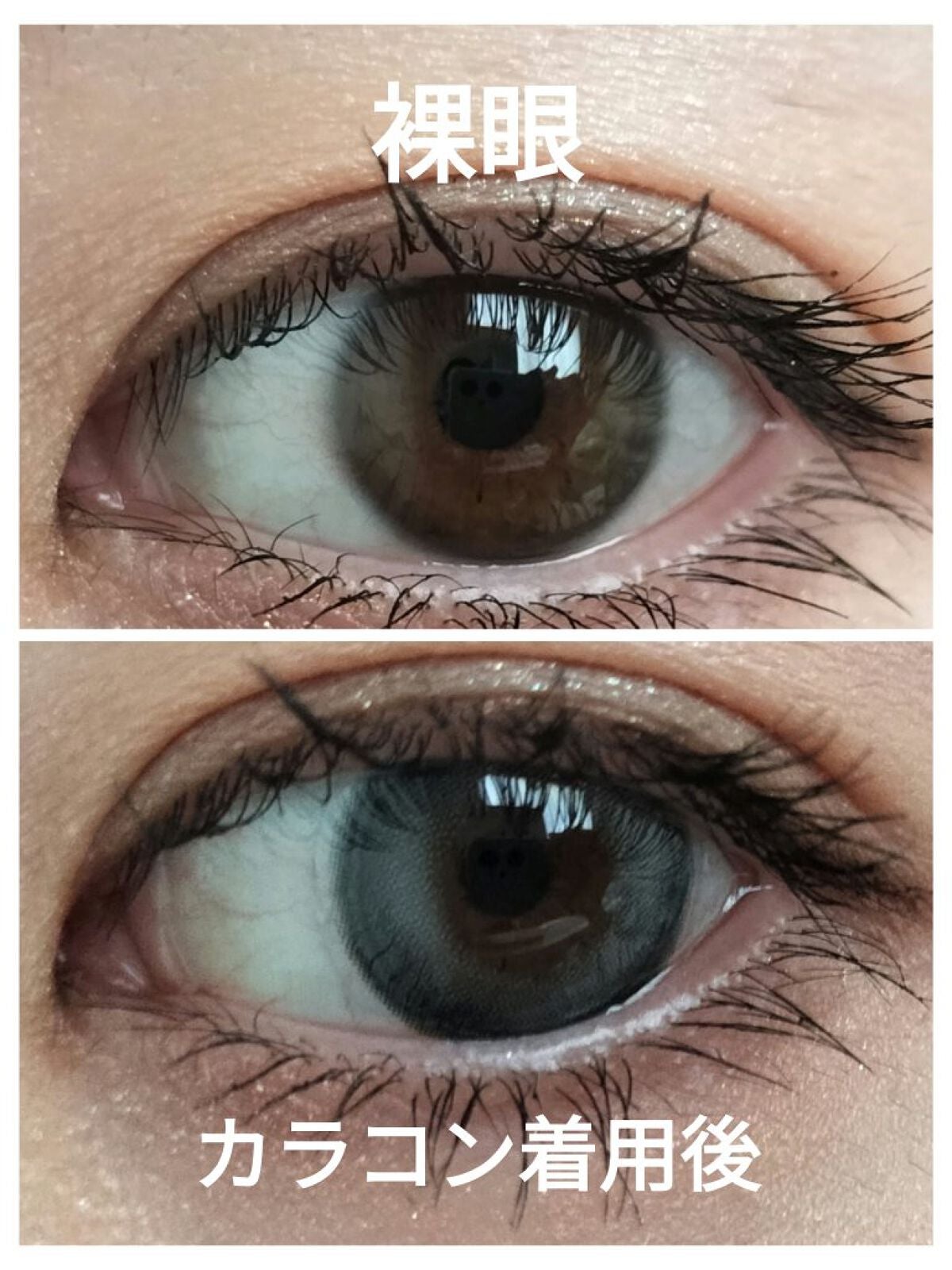 Angelcolor Bambi Series 1day /AngelColor/ワンデー(1DAY)カラコンを使ったクチコミ(3枚目)