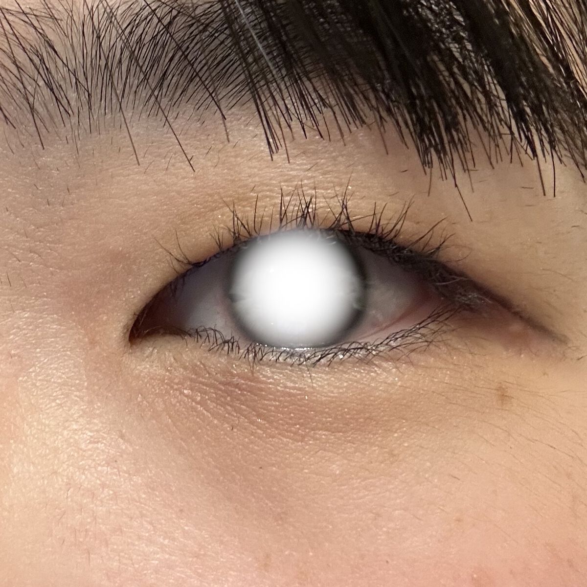 エテュセ アイエディション（マスカラベース）LE R728 夢中ネイビー(限定版)/ettusais/マスカラ下地を使ったクチコミ（3枚目）