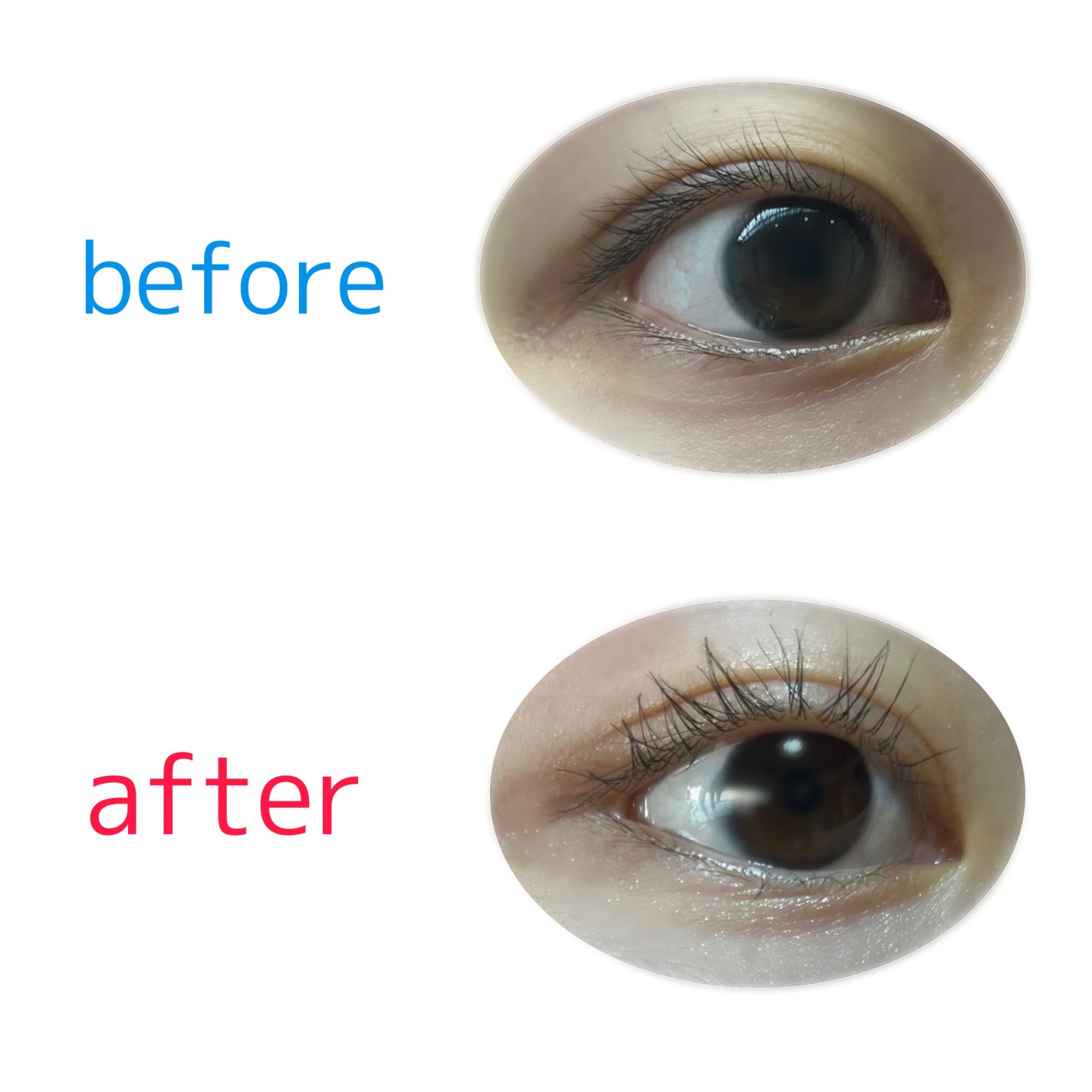 ハイパーリフトマスカラ/D-UP/マスカラを使ったクチコミ(2枚目)