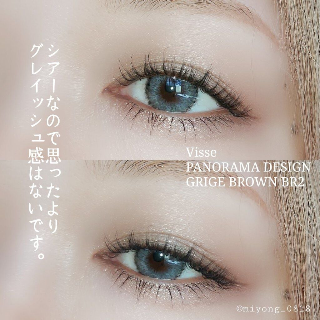 パノラマデザイン アイパレット/Visée/アイシャドウパレットを使ったクチコミ(2枚目)