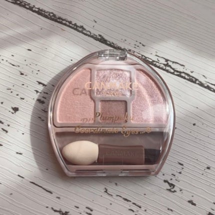 プランぷくコーデアイズ/キャンメイク/パウダーアイシャドウを使ったクチコミ(2枚目)