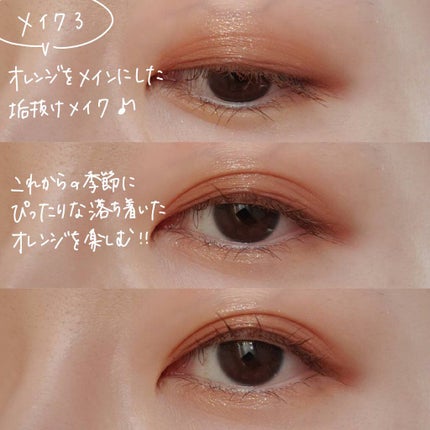 シルキースフレアイズ(マットタイプ)/キャンメイク/アイシャドウパレットを使ったクチコミ(8枚目)