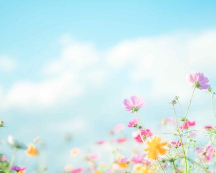 TOPARDS 1day/TOPARDS/ワンデー(1DAY)カラコンを使ったクチコミ(1枚目)