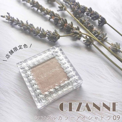 シングルカラーアイシャドウ/CEZANNE/単色アイシャドウを使ったクチコミ(1枚目)