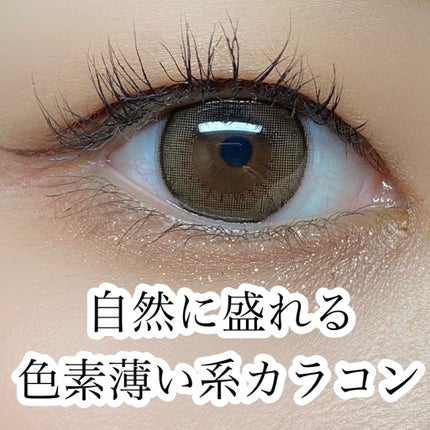 エバーカラーワンデー ナチュラル/エバーカラー/ワンデー(1DAY)カラコンを使ったクチコミ(1枚目)