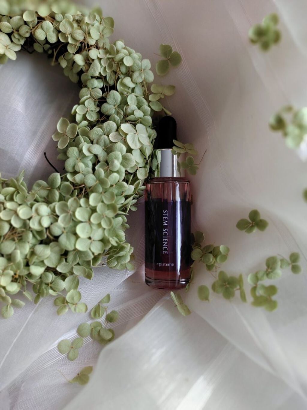 ステムサイエンスオイル/エピステーム/ブースター・導入液を使ったクチコミ(1枚目)