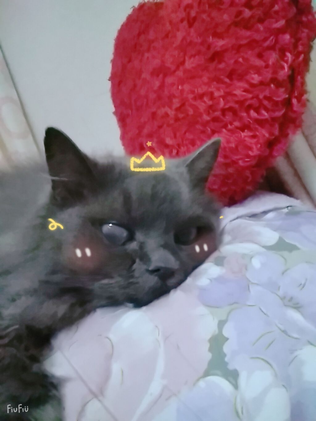 かんかん on LIPS 「可愛すぎる加工してもしなくても可愛い~~!!!!皆大好き💖..」(3枚目)