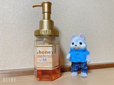 EXディープモイスト ヘアオイル3.0/&honey/ヘアオイルを使ったクチコミ（1枚目）