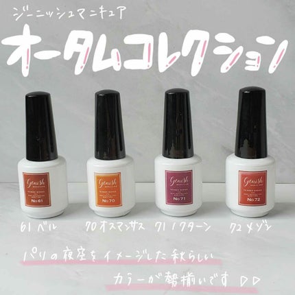 ジーニッシュ/ジーニッシュマニキュア/マニキュアを使ったクチコミ(1枚目)