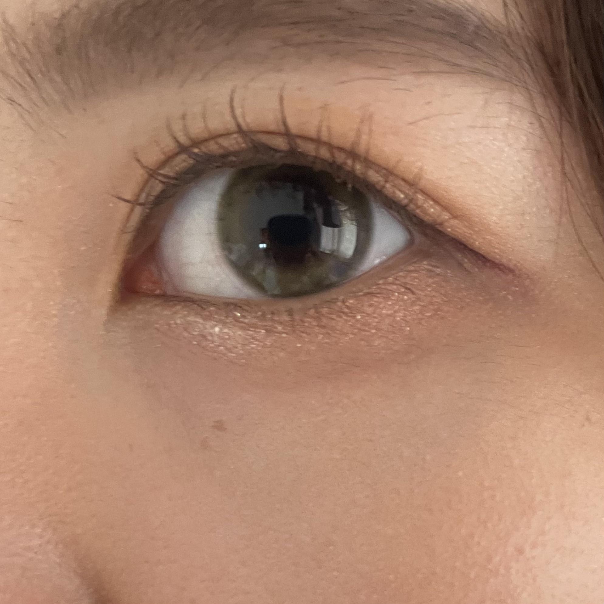 TOPARDS 1day スモーキークォーツ/TOPARDS/ワンデー（１DAY）カラコンを使ったクチコミ（2枚目）