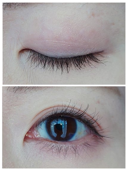 シルキースフレアイズ(マットタイプ)/キャンメイク/アイシャドウパレットを使ったクチコミ(3枚目)