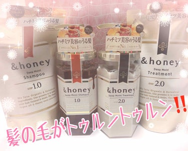 ディープモイスト シャンプー1.0／ヘアトリートメント2.0/&honey/シャンプー・コンディショナーを使ったクチコミ（1枚目）