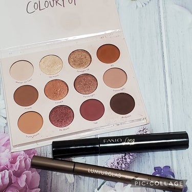 Give It To Me Straight/ColourPop/アイシャドウパレットを使ったクチコミ（2枚目）