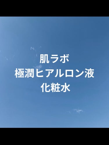 極潤ヒアルロン液（ハダラボモイスト化粧水d）/肌ラボ/化粧水を使ったクチコミ（1枚目）