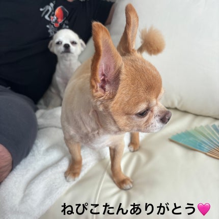 クリーム カラー フォー アイズ/TOM FORD BEAUTY/ジェル・クリームアイシャドウを使ったクチコミ(8枚目)