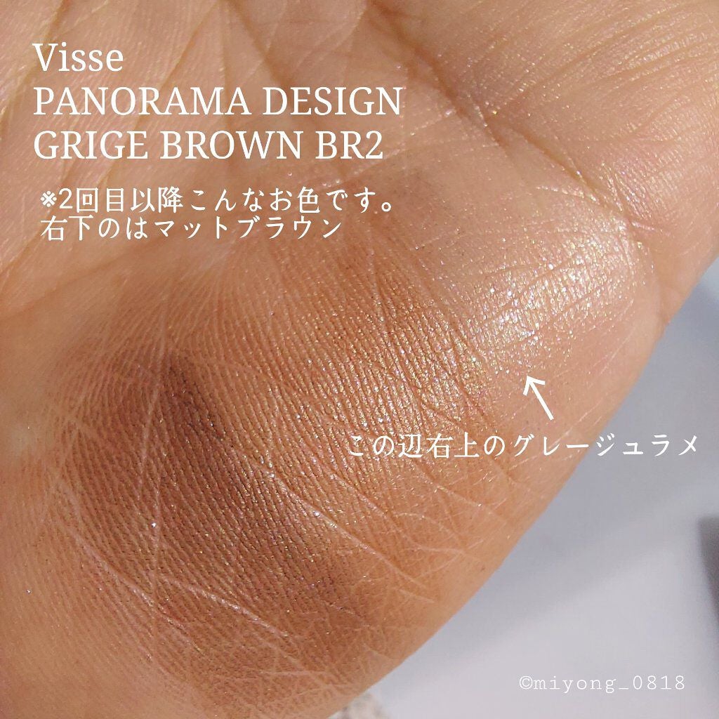 パノラマデザイン アイパレット/Visée/アイシャドウパレットを使ったクチコミ(5枚目)