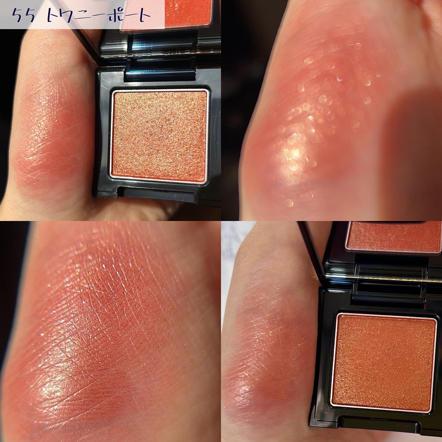 ラズル アイカラー 55 Tawny port/エレガンス ラズル /単色アイシャドウを使ったクチコミ（2枚目）