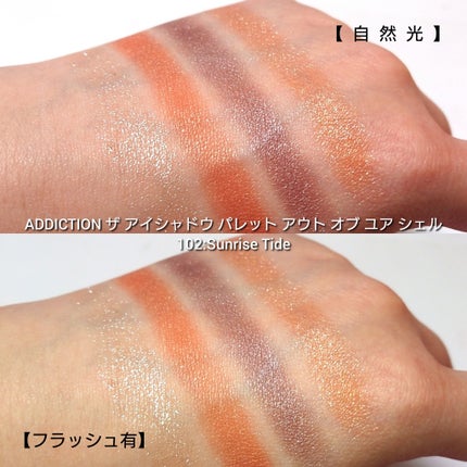 アディクション ザ アイシャドウ パレット/ADDICTION/アイシャドウパレットを使ったクチコミ(6枚目)