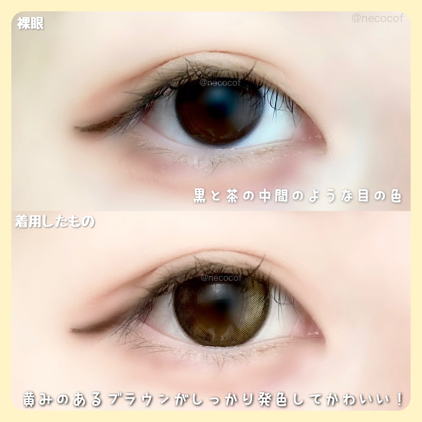 mimi charme 1day/mimi charme/ワンデー(1DAY)カラコンを使ったクチコミ(5枚目)