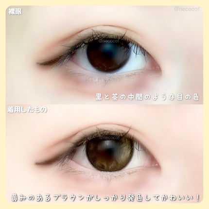 mimi charme 1day/mimi charme/ワンデー(1DAY)カラコンを使ったクチコミ(5枚目)