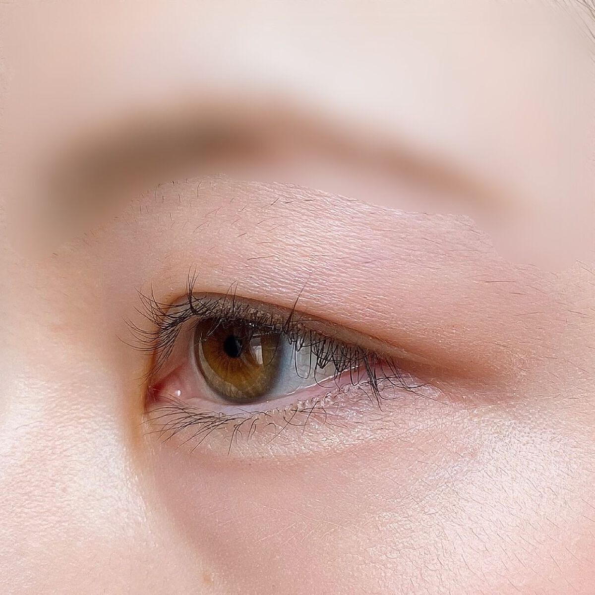 STEP BASIC EYESHADOW/Ameli/単色アイシャドウを使ったクチコミ(7枚目)