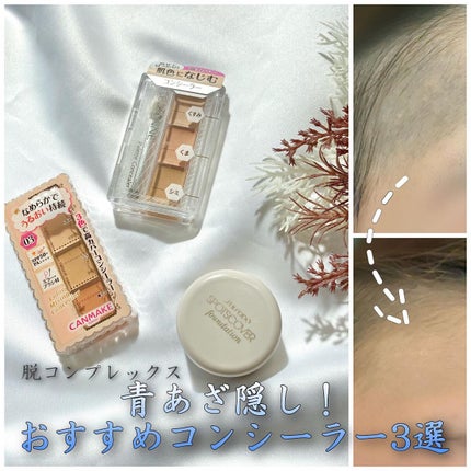 カラーミキシングコンシーラー/キャンメイク/パレットコンシーラーを使ったクチコミ(1枚目)