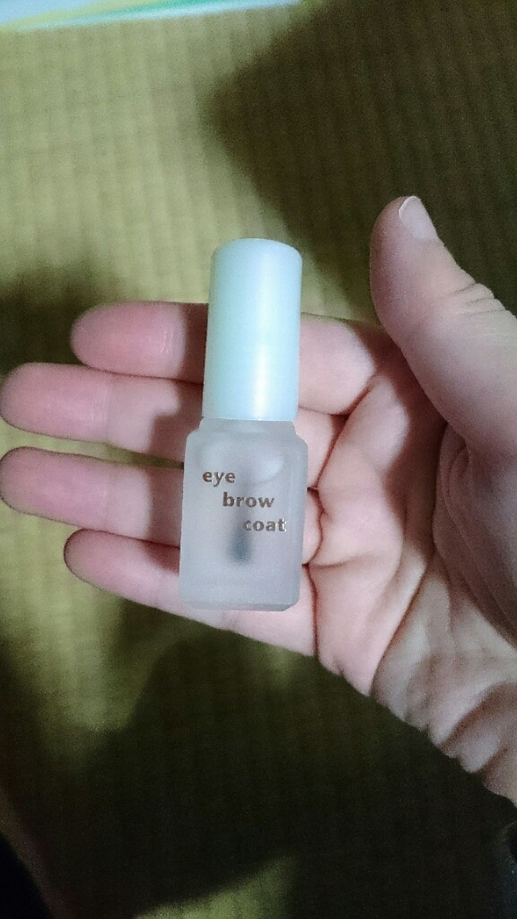 エバビレーナ アイブローコート/DAISO/アイブロウコートを使ったクチコミ（1枚目）