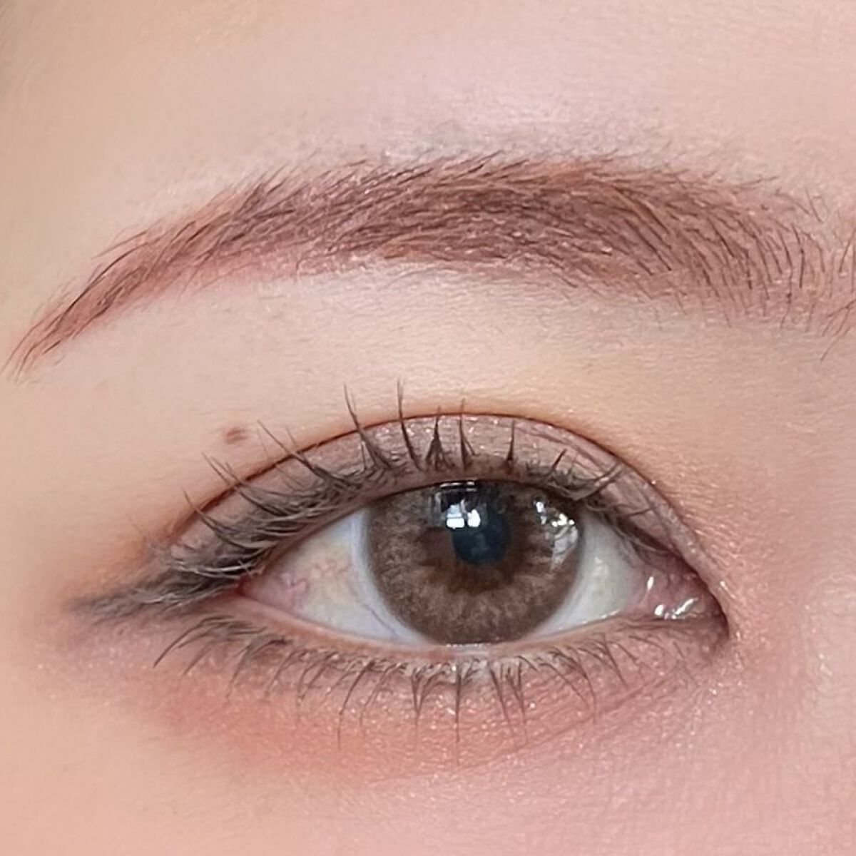 マルチカラーパレット ディアコーラル/and:ar/マルチパレットを使ったクチコミ（3枚目）