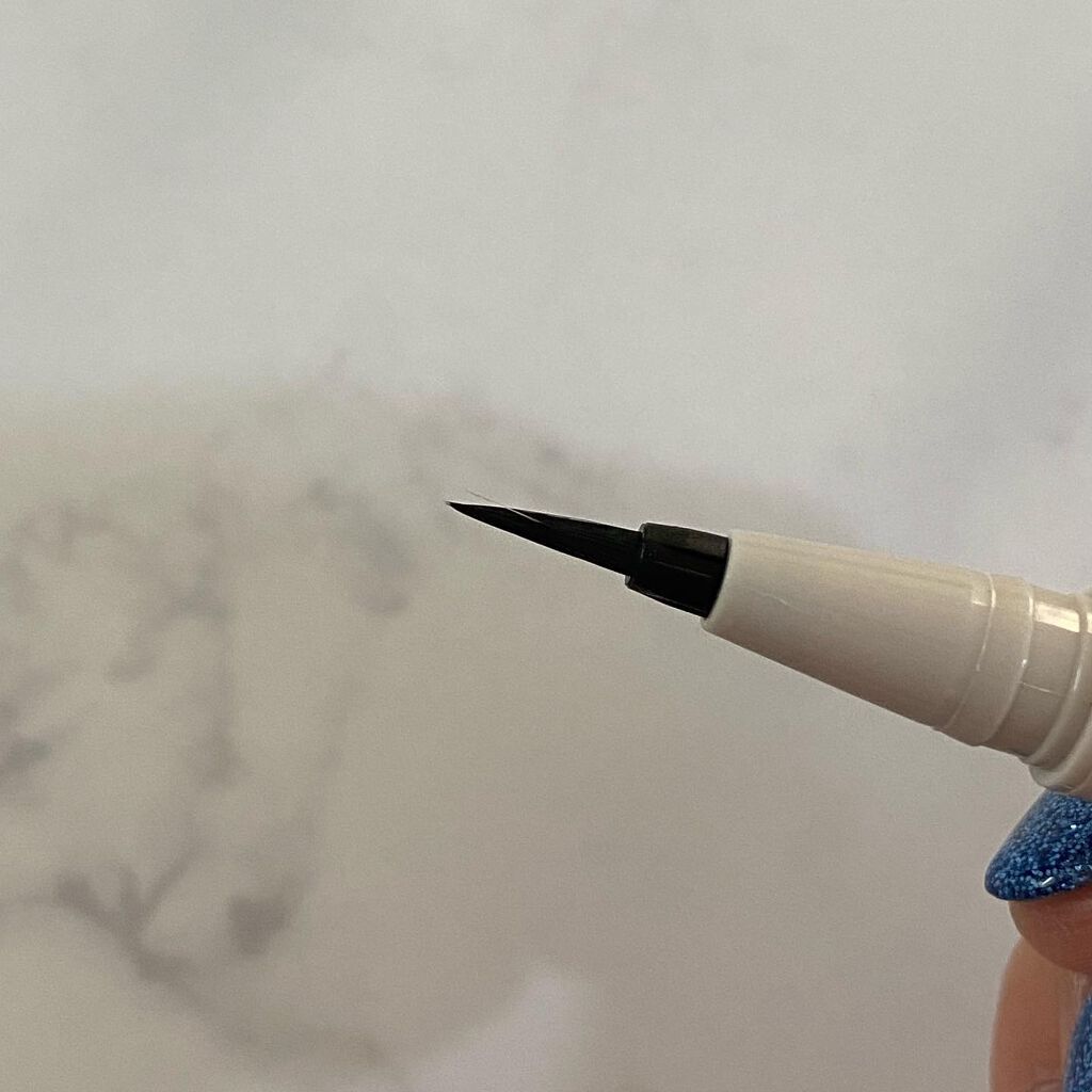 仕込みアイライナー /Fujiko/リキッドアイライナーを使ったクチコミ(5枚目)